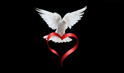 Dove and a Heart
